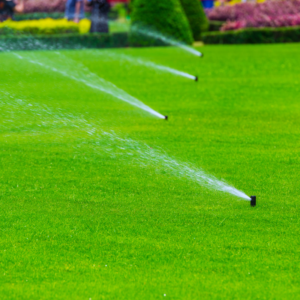 Corvallis Landscaper Irrigation Design Repair Maintenance Corvallis Albany Salem Oregon