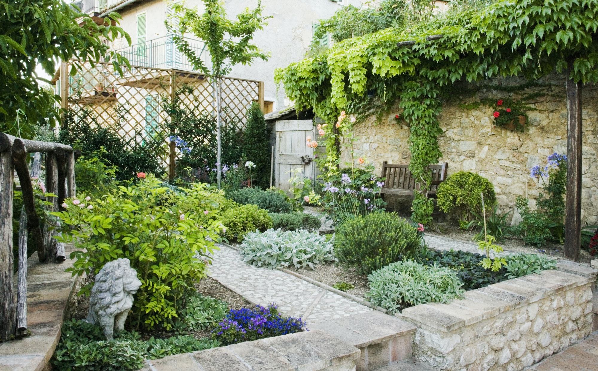 backyard-gardenjpg