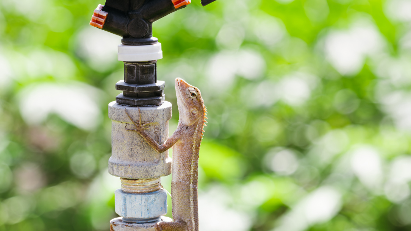 Commercial Garden Irrigation Maintenance in Philomath Corvallis Albany Salem Lebanon Eugene Springfield Oregon Landscape and Irrigation Landscaping Services