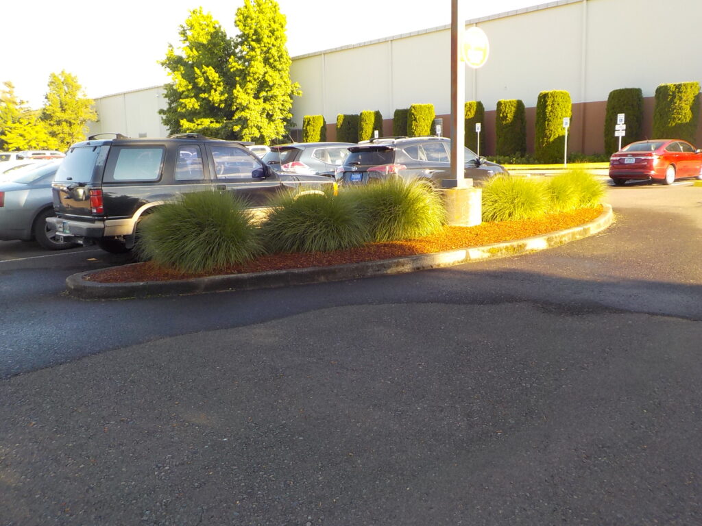 Corvallis Landscaper, Commercial Landscape and Irrigation Parking Lot Maintenance Services in Eugene, Springfield, Corvallis, Philomath, Lebanon, Albany, Salem, Oregon