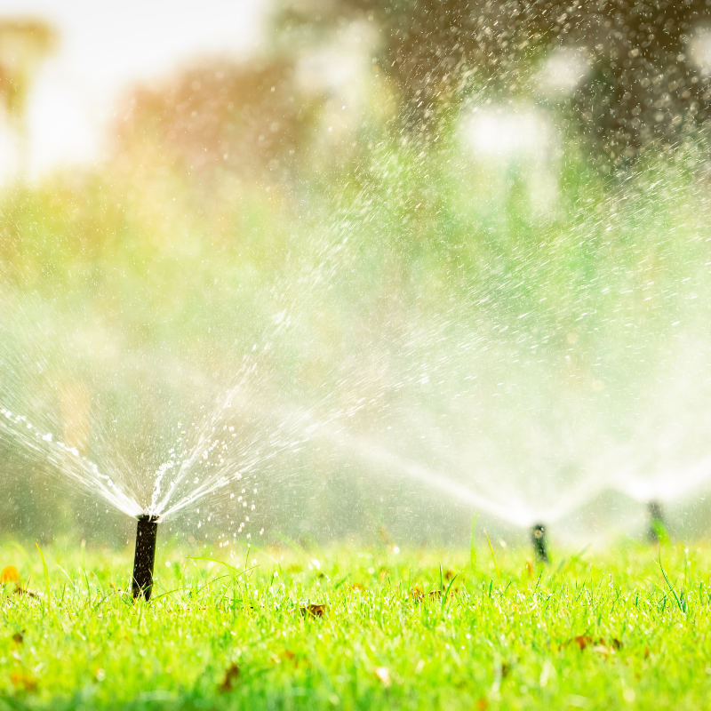 Sprinkler Winterization Services in Philomath Corvallis Albany Salem Lebanon Eugene Springfield Oregon Landscape and Irrigation Landscaping Services