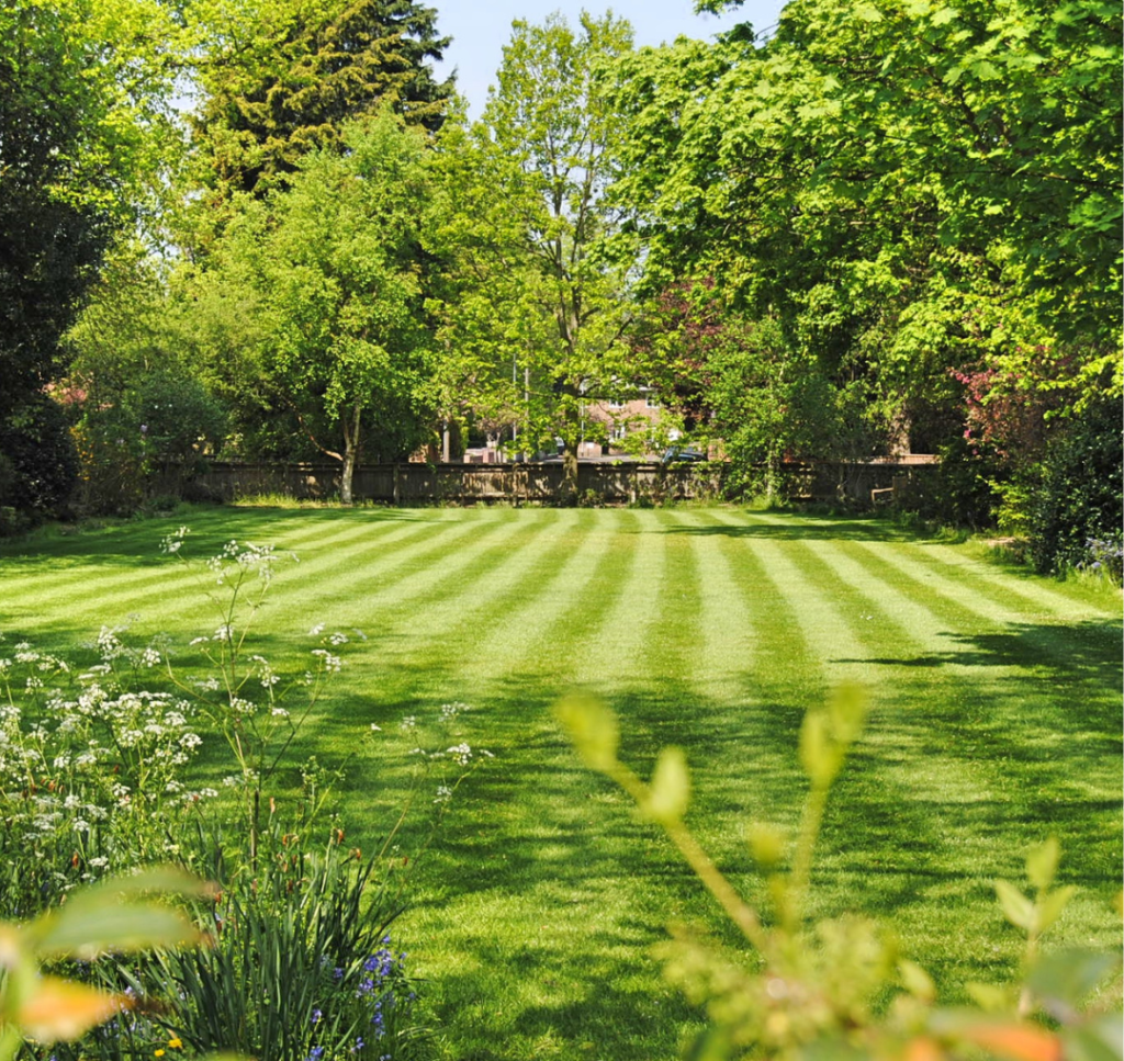 Backyard Lawn Care Services Philomath, Corvallis, Albany, Lebanon, Salem, Eugene, Springfield, Oregon