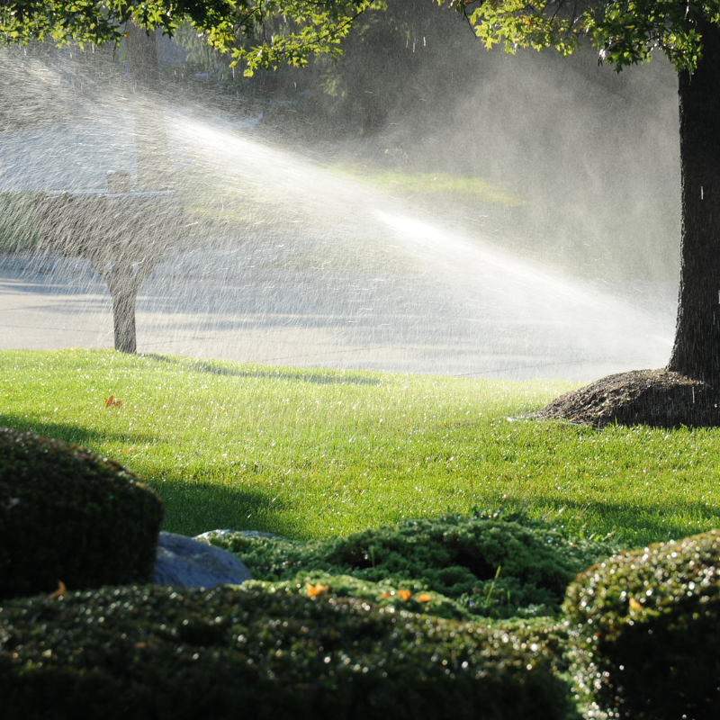 Business Irrigation Design Maintenance Repair in Corvallis, Albany, Salem Oregon