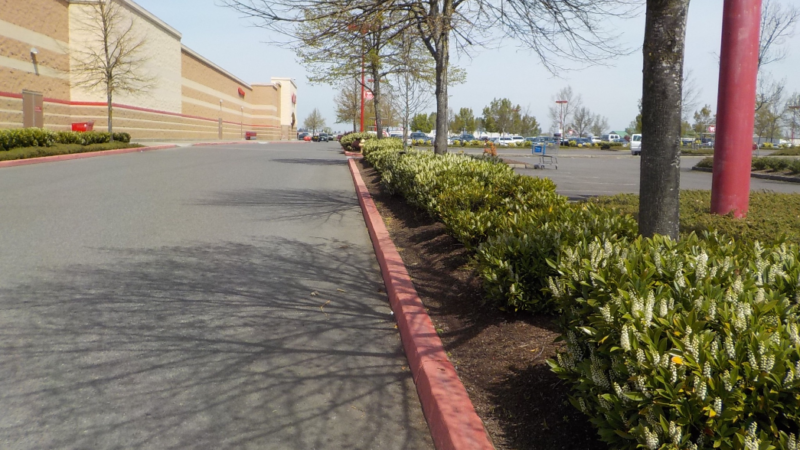 Commercial Shopping Retail Property and Landscape Maintenance Services, Eugene, Springfield, Philomath, Corvallis, Lebanon, Albany, Salem, Oregon