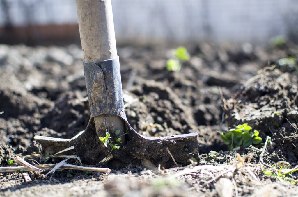 Corvallis Landscaper Soil Testing Services