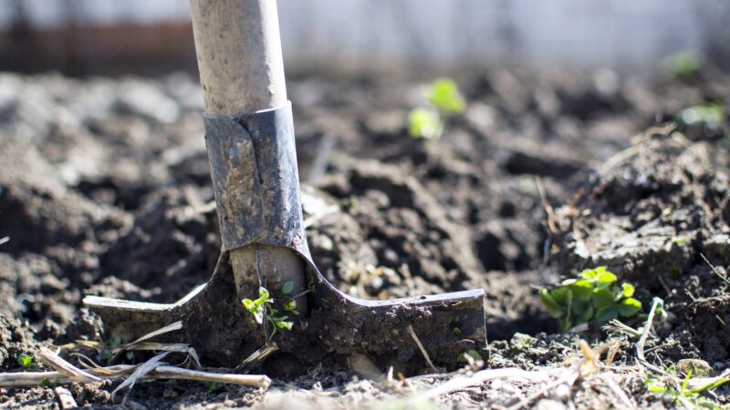 Corvallis Landscaper Soil Testing Services in Philomath, Corvallis, Albany, Salem, Lebanon Oregon