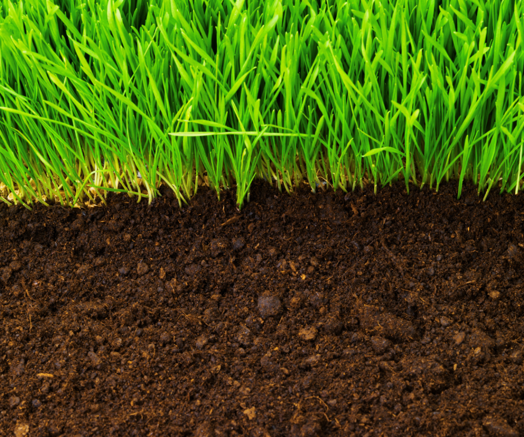 Corvallis Landscaper - Top Soil Dressing