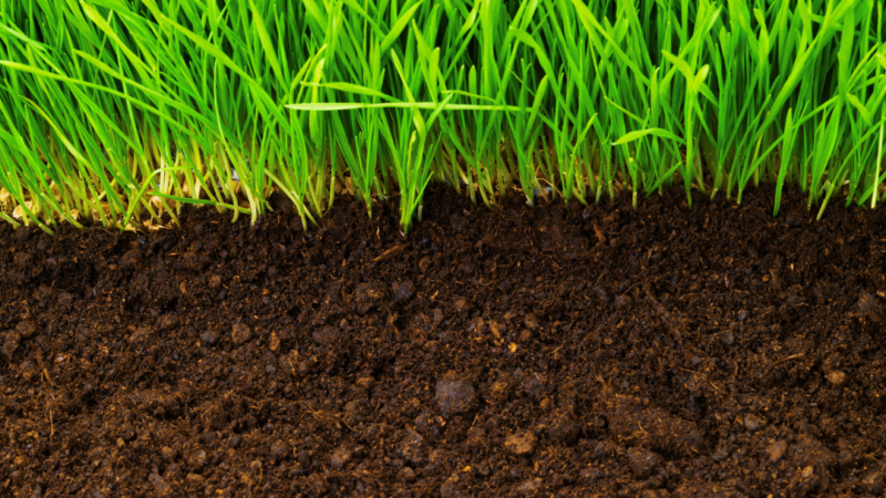 Corvallis Landscaper - Top Soil Dressing