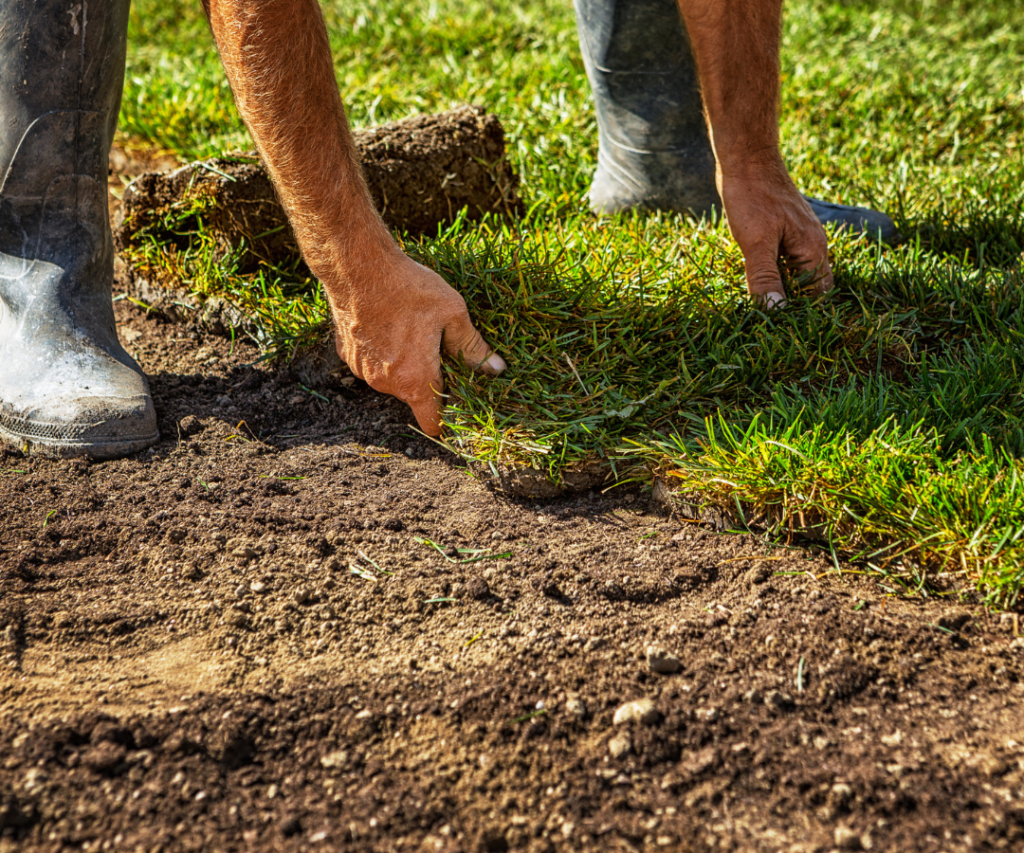 Lawn Installation Services in Philomath, Corvallis, Albany, Salem, Lebanon Oregon