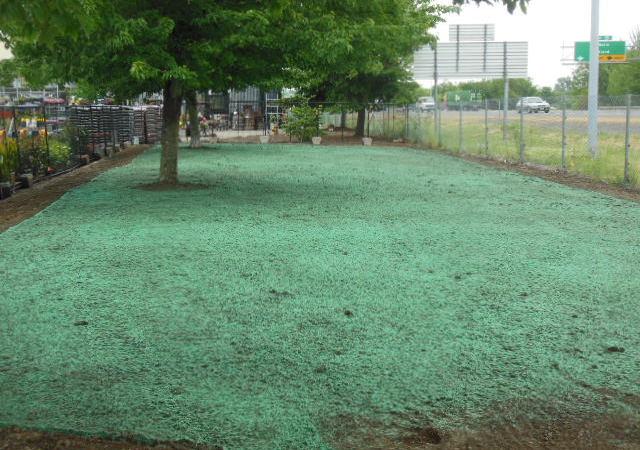 Lawn Care, Hydroseeding Services, Corvallis Oregon