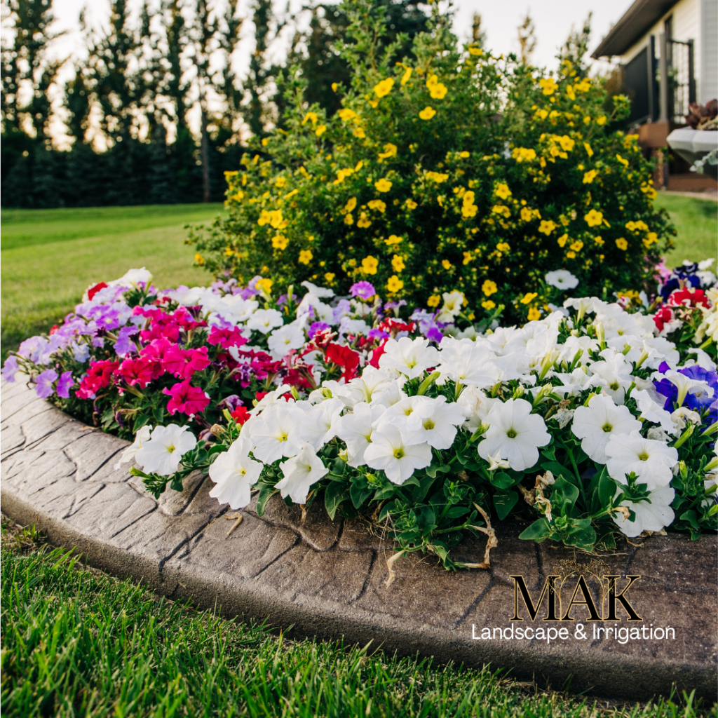 MAK Landscape and Irrigations' Flower Bed Design, Installation and Maintenance Services, Corvallis, Albany, Philomath, Lebanon Oregon