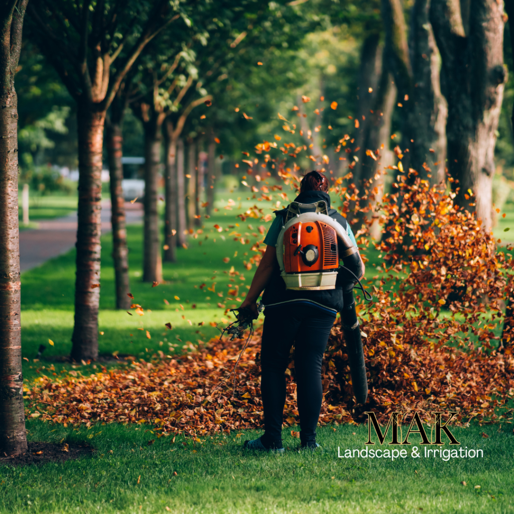 MAK Landscape and Irrigations' Lawn Care Leaf and Debris Blowing Services, Corvallis, Albany, Philomath, Lebanon Oregon (1)