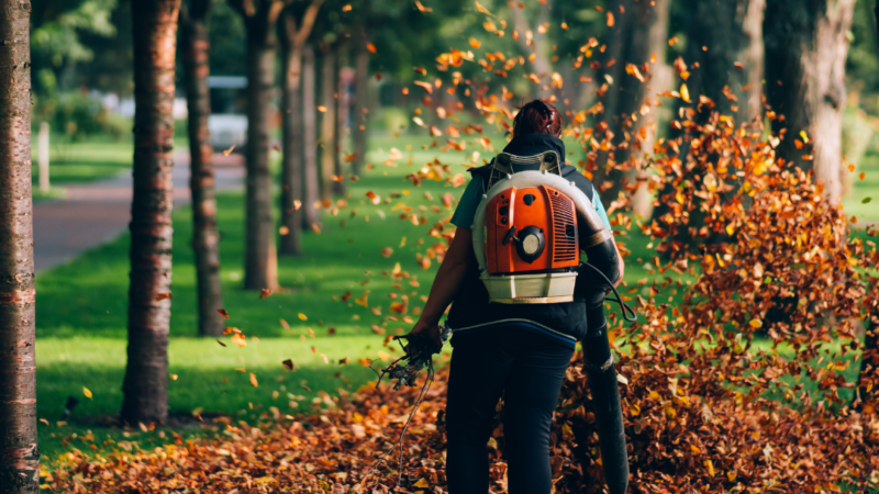 MAK Landscape and Irrigations' Lawn Care Leaf and Debris Blowing Services, Corvallis, Albany, Philomath, Lebanon Oregon (1)