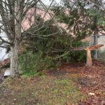 Commercial Property Storm Damage Clean Up in Albany Oregon